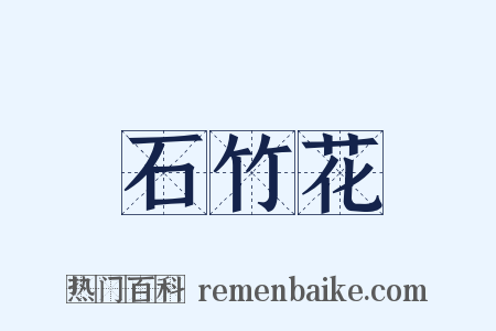 石竹花是什么意思的图片